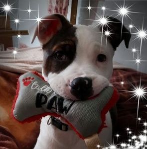 Meet your Posher, Shyleigh